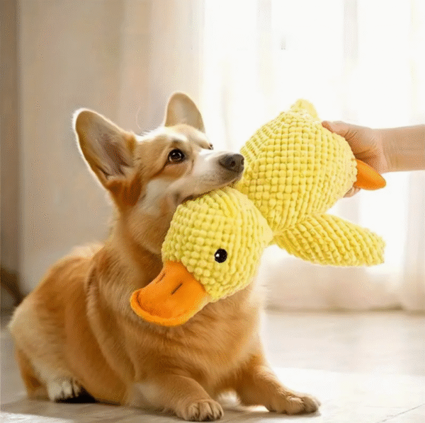 Screenshot-2025-10-22-at-16.08.09 Soft Chew Resistant Plush Duck Dog Toy