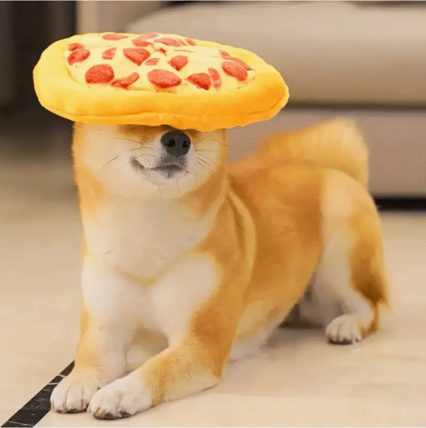 Squeaky Plush Pizza with Fun Sound Dog Toy
