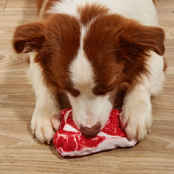 Screenshot 2025-10-22 at 17.51.02 Squeaky Steak Shaped Dog Toy