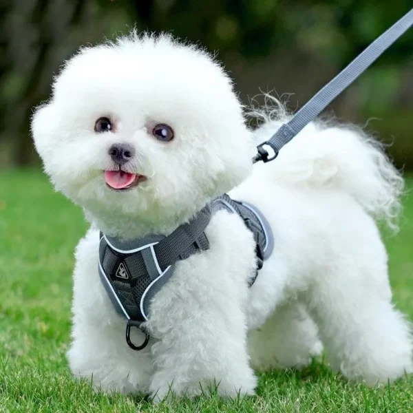 cn-11134207-7ras8-mc53mi1bi1p278 Reflective Breathable Pet Chest Strap