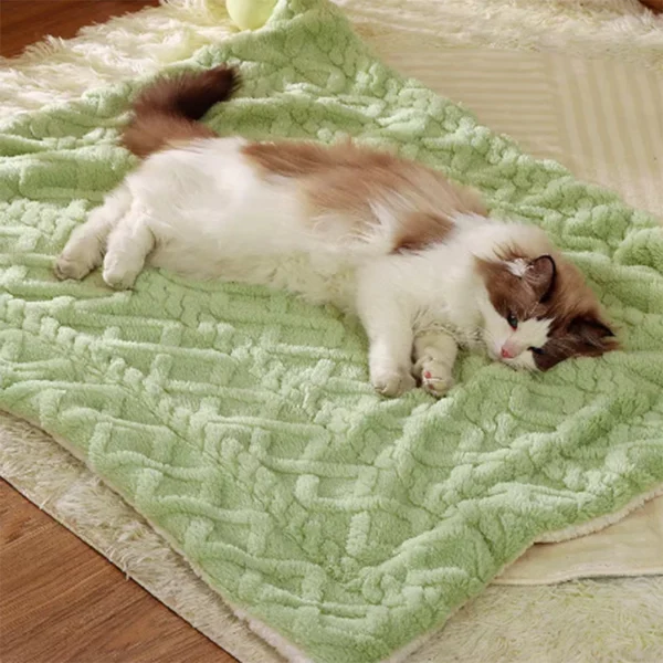 sg-11134201-7rent-m2w2u79qkzux06 Pet Fluffy Sleeping Blanket