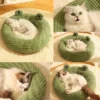 sg-11134201-824hy-mee3qha7x8g349 Frog Shape Pet bed for All Seasons